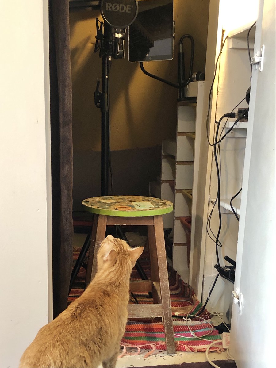 Thanks for giving me an excuse to hang out in my den this morning @thinkingaudio! #homestudio with help from 🐈