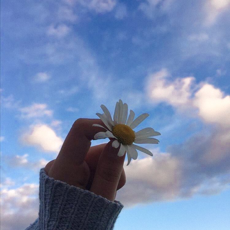 Harus1q's tweet image. 𝗜𝘁'𝘀 𝗷𝘂𝘀𝘁 𝗮 𝗯𝗮𝗱 𝗱𝗮𝘆, 𝗻𝗼𝘁 𝗮 𝗯𝗮𝗱 𝗹𝗶𝗳𝗲.

มันก็เป็นเพียงแค่วันที่แย่  
ไม่ใช่ทั้งชีวิตที่แย่⛈🌷🤍

#คําคมภาษาอังกฤษ #แคปชั่นภาษาอังกฤษ #แคปชั่นเศร้า #คําคมชีวิต #แคปชั่นความรู้สึก #คำคม #แคปชั่น #หมูขี้เกียจ