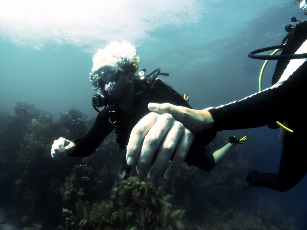 Diving blind. As part of @PADI Adaptive Techniques Instructor training we had Shaun experience a blind dive while Alanna was giving regular touch based data 
#adaptivediving #adaptivetechniques
#IDCutila #padiIDC #AskAynsley 
#padi #utila #padipros #divemaster #scuba #gopro