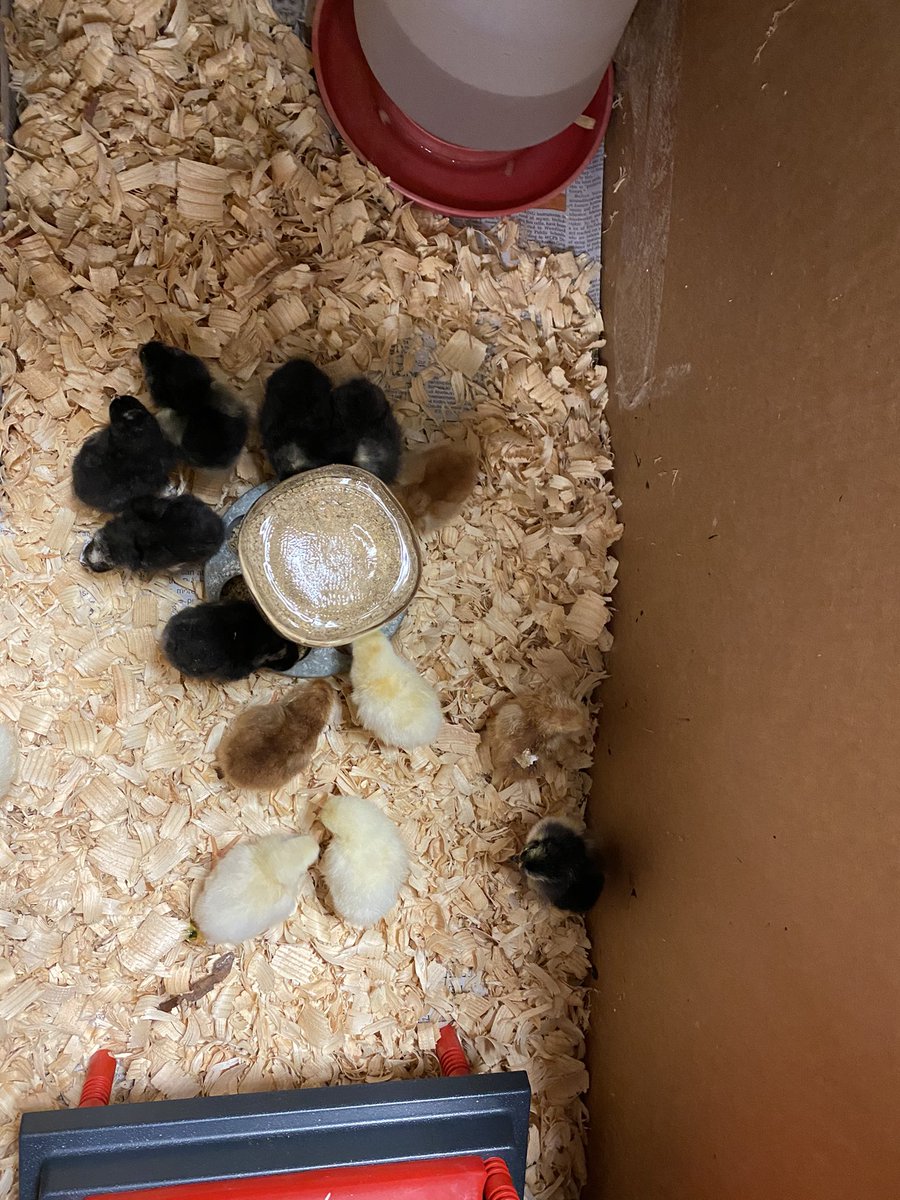 Mindy Logan tweet media