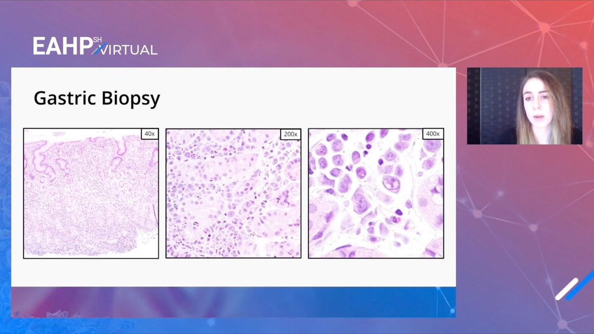 SocforHemepath tweet media