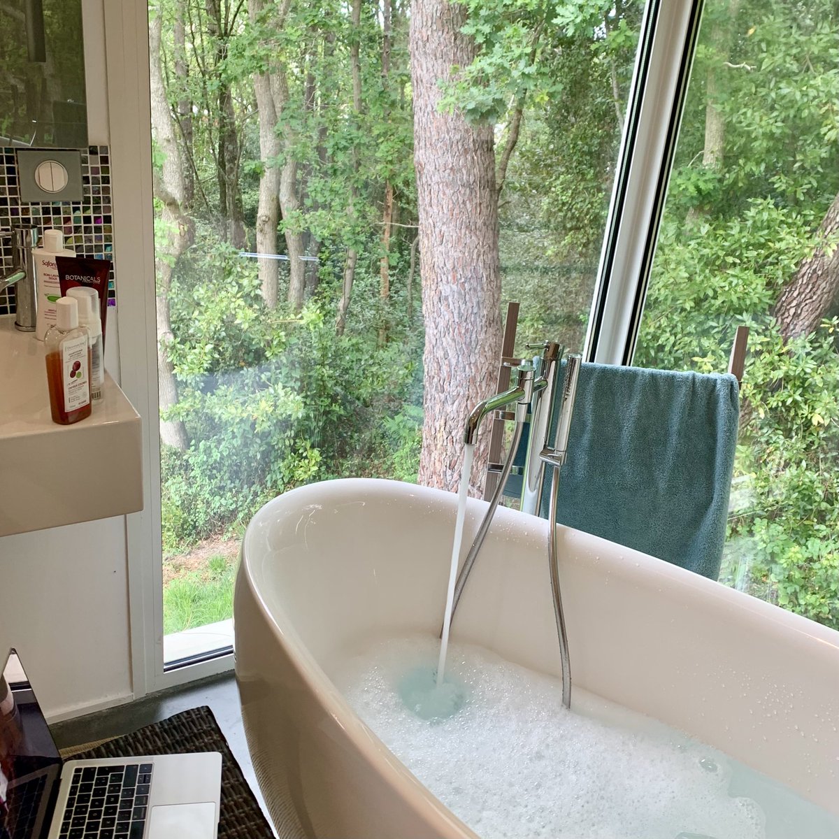 pedalesensible's tweet photo. Ca prend un bain face la forêt ou quoi https://t.co/LtDchPhuf0