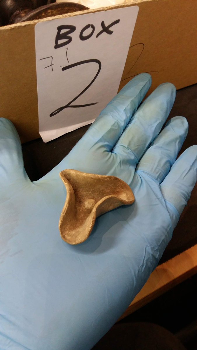 #DayOfDH2021 Uma vista de olhos às cerâmicas do <a href="/uremuseum/">Ure Museum of Greek Archaeology</a>! Eu tirei estas fotos durante o #EstágioErasmus a um pequenino jarro - com tampa! Será que o @mnarqueologia em Lisboa, Portugal, tem algo semelhante? 

Explorem a colecção do <a href="/uremuseum/">Ure Museum of Greek Archaeology</a> aqui: uremuseum.org/cgi-bin/ure/ur…