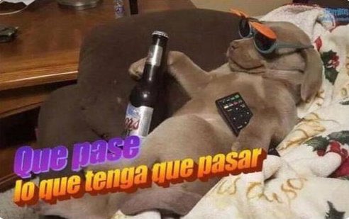 danimarreroo's tweet photo. Mood https://t.co/KzmKXA9D8N