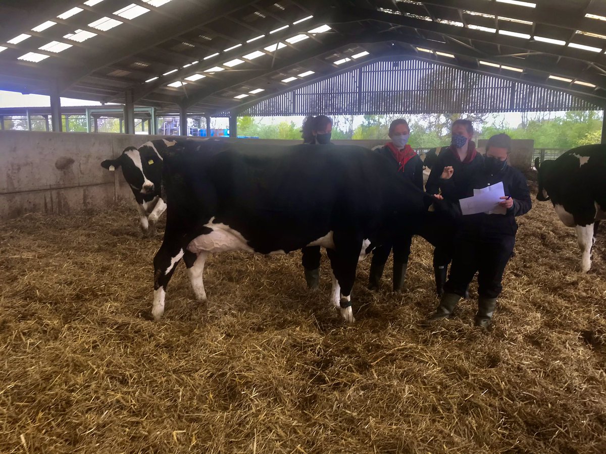 @VetPhysioHAU tweet media