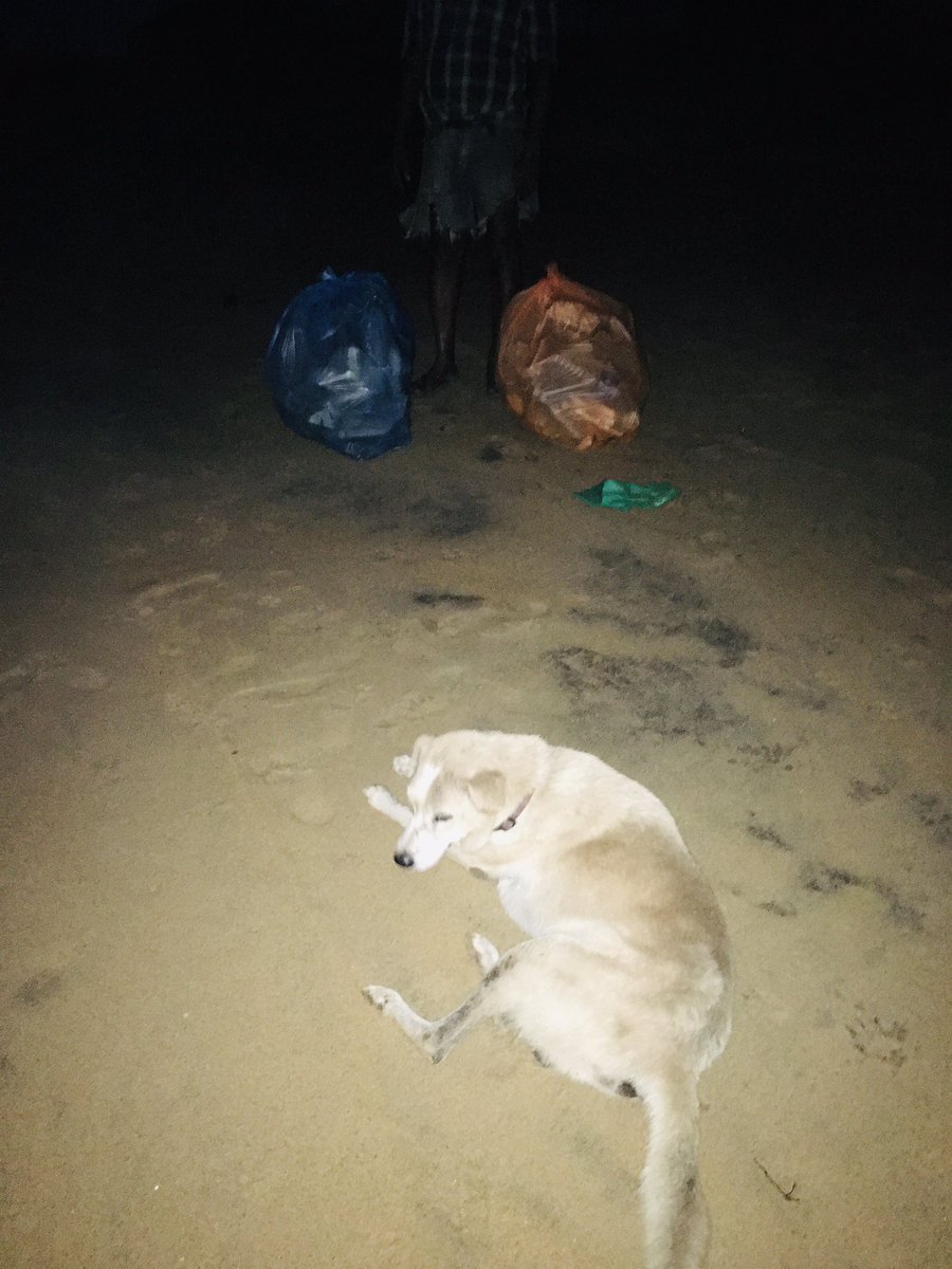 Beach Clean Up Sri Lanka 🇱🇰 tweet media