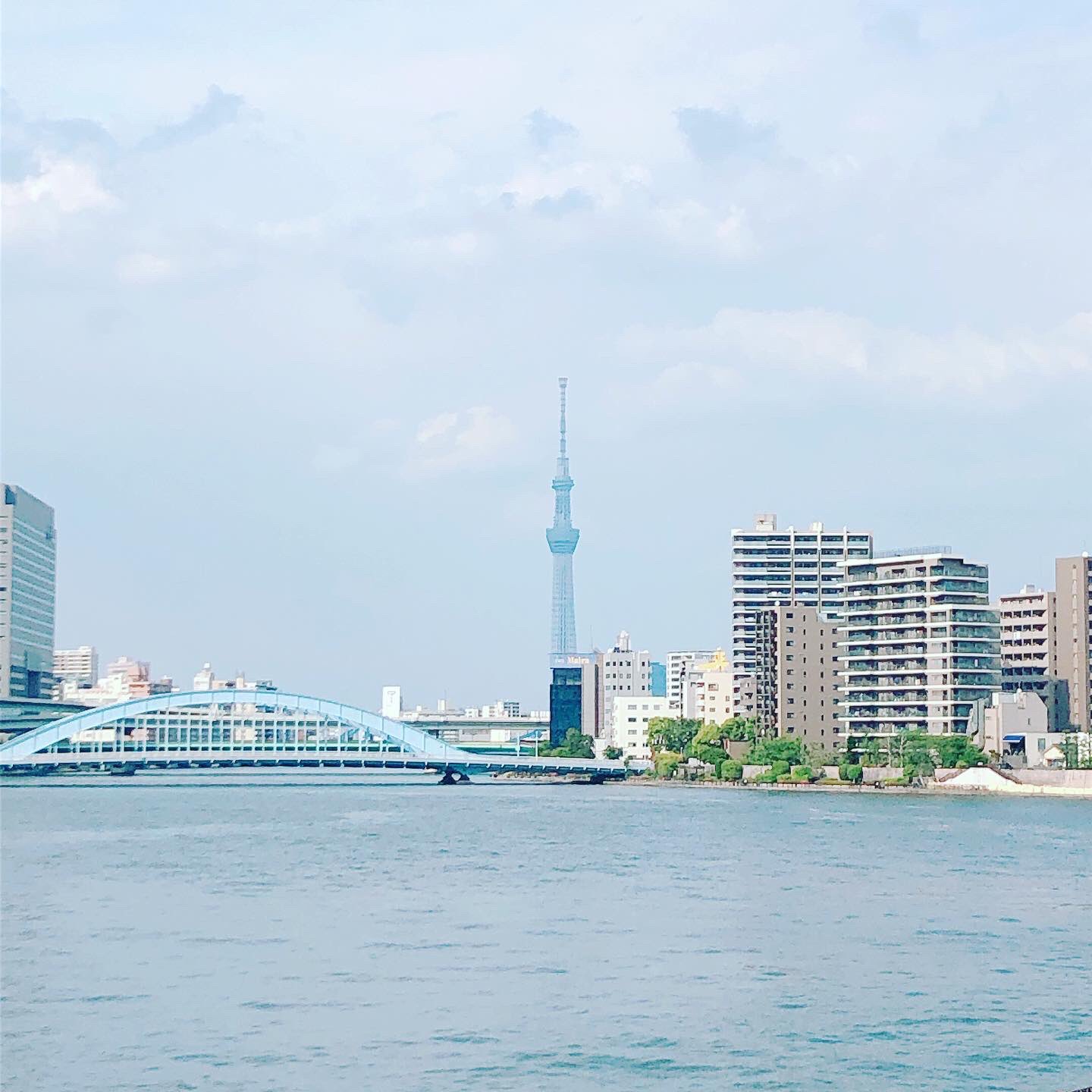 七海 沙莉 そういえばこの前 月島もんじゃのショートタイムランチの際に 撮りましたの 月島 隅田川 東京 スカイツリー 景色 風景 東京 Japan Japan Of Insta 東京スカイツリーのある風景 T Co Ze1cfdhuod Twitter