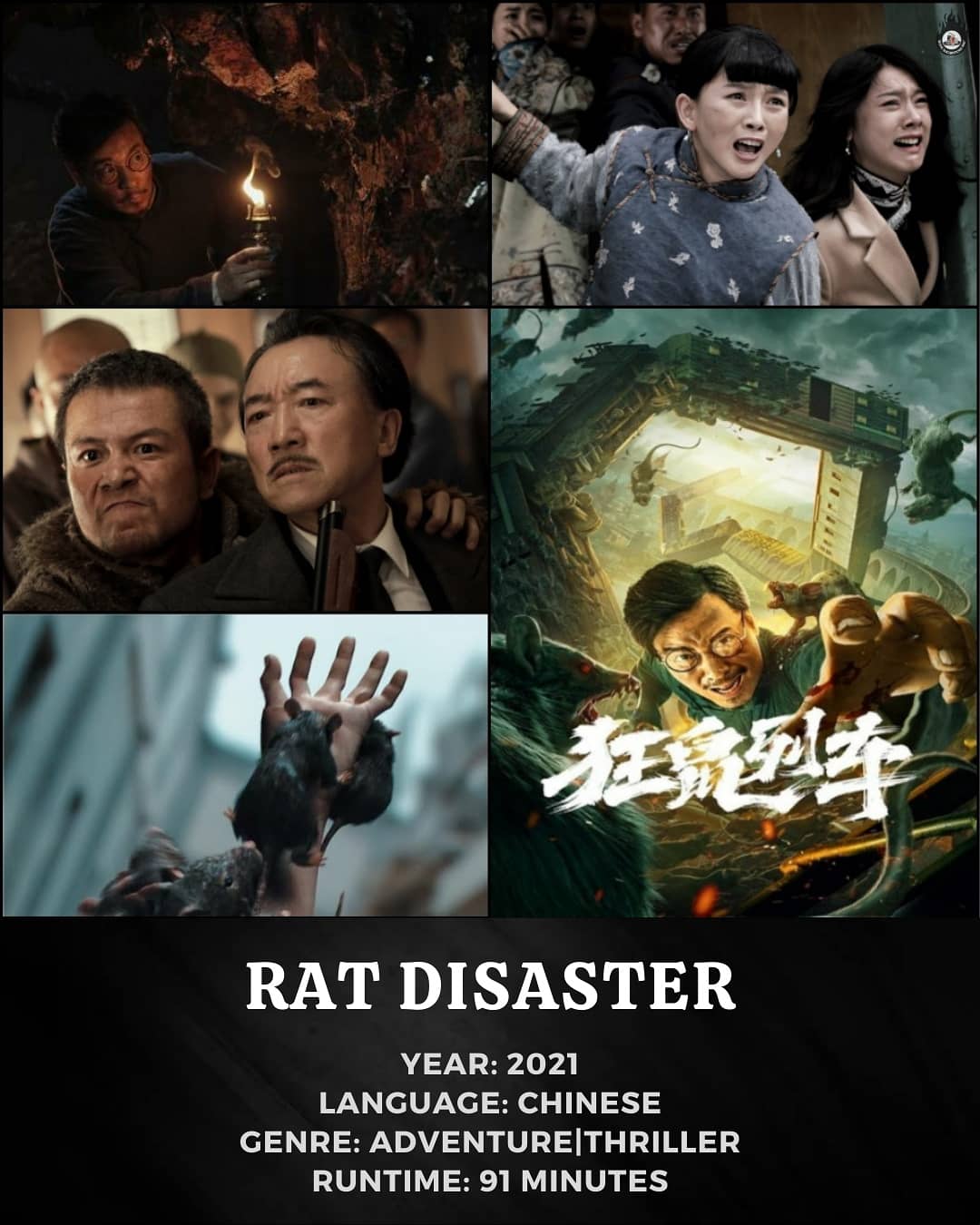 Rat disaster