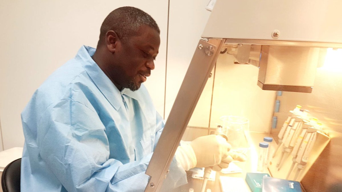 One Health PACT (@onehealthpact) on Twitter photo Every week, the Public Health Virology team <a href="/ErasmusMC/">Erasmus MC</a> receives samples collected from wild birds across the Netherlands and screens them for #arboviruses. Pics: <a href="/TjommeM/">Tjomme van Mastrigt</a> & M. Groen ringing and sampling birds, sample unpacking and <a href="/AtamaNnomzie/">Nnomzie Atama</a> testing by RT-PCR. #OneHealth Every week, the Public Health Virology team <a href="/ErasmusMC/">Erasmus MC</a> receives samples collected from wild birds across the Netherlands and screens them for #arboviruses. Pics: <a href="/TjommeM/">Tjomme van Mastrigt</a> & M. Groen ringing and sampling birds, sample unpacking and <a href="/AtamaNnomzie/">Nnomzie Atama</a> testing by RT-PCR. #OneHealth