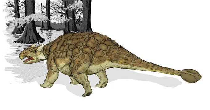 アンキロサウルスのtwitterイラスト検索結果 アンキロサウルスのtwitterイラスト検索結果