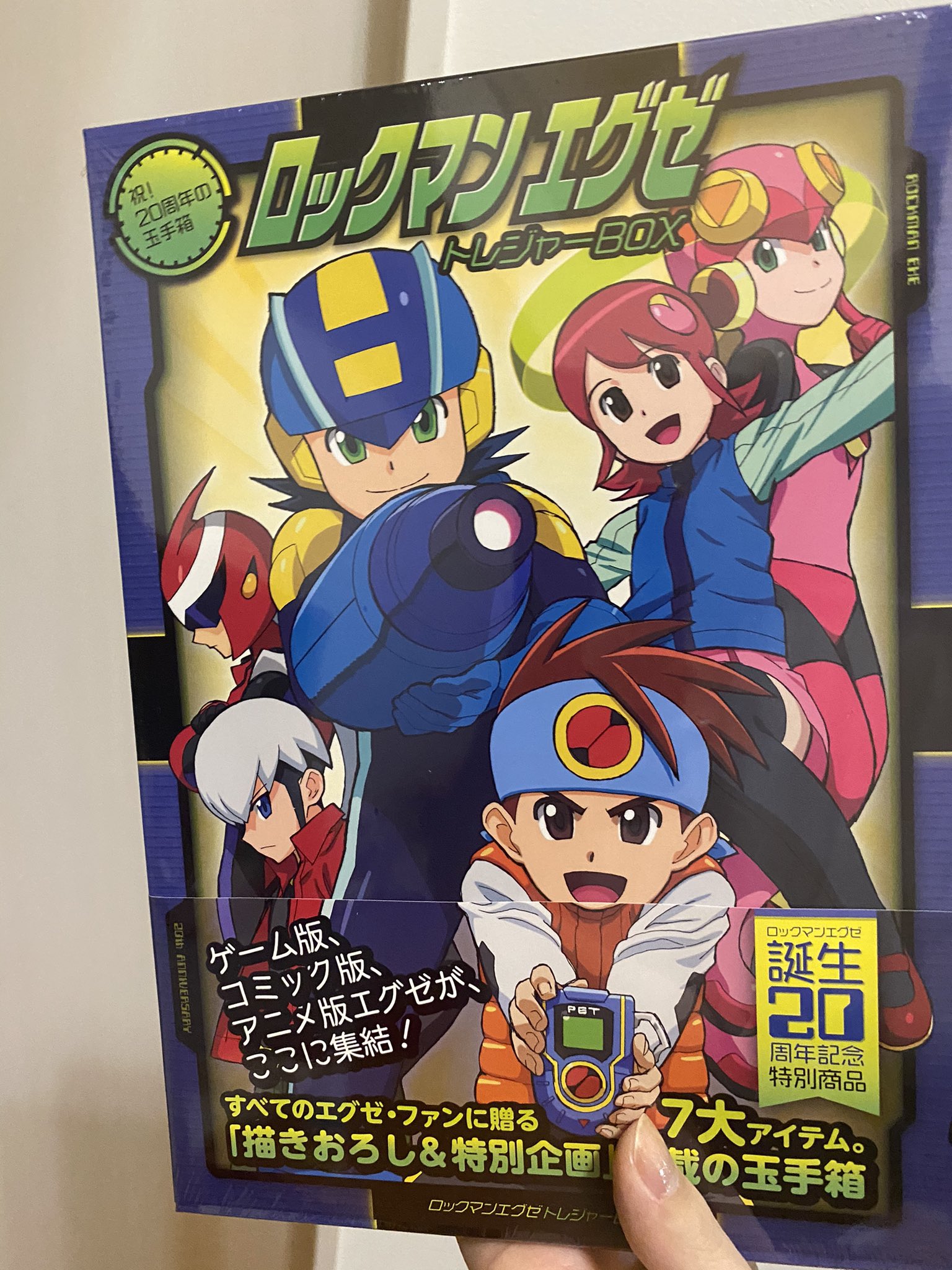ロックマンエグゼ トレジャーbox 祝 周年の玉手箱 Www Csbucal Com Br