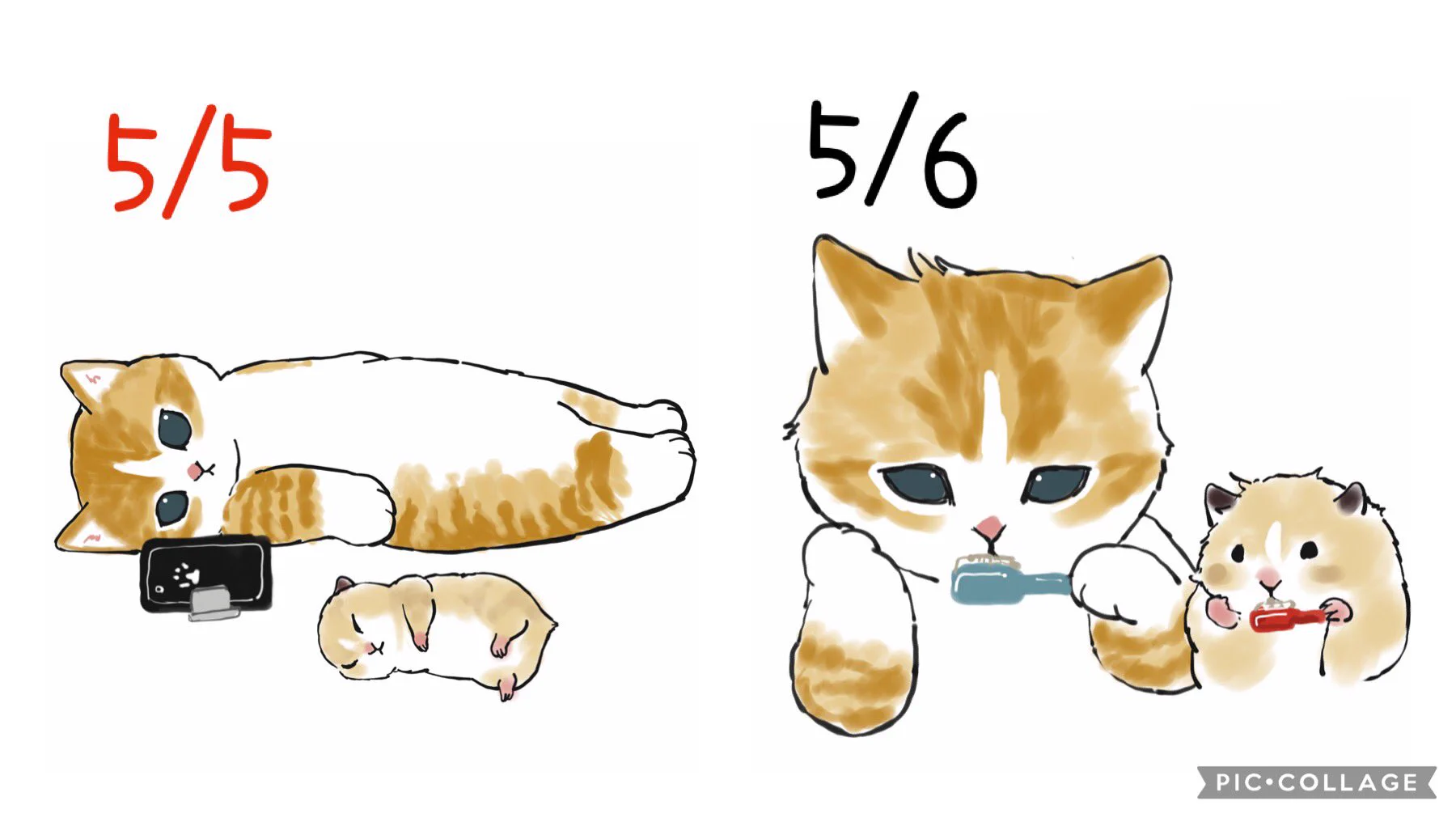 人間も動物も一緒？猫で見るGWの過ごし方www