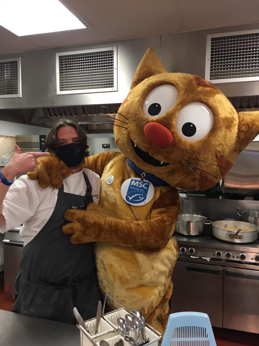 When Merdock the cat decides to pay a visit @wol1978 @IndiesSodexo