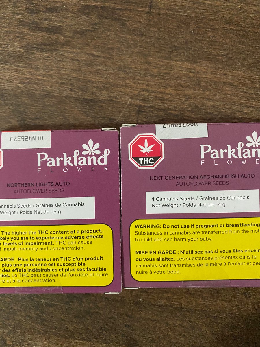 Finally got my hands on these little beauties <a href="/Kieley_/">Smiley Kieley</a> @ParklandFlower which grow up to big beauties !!@SpiritleafCA love local!!