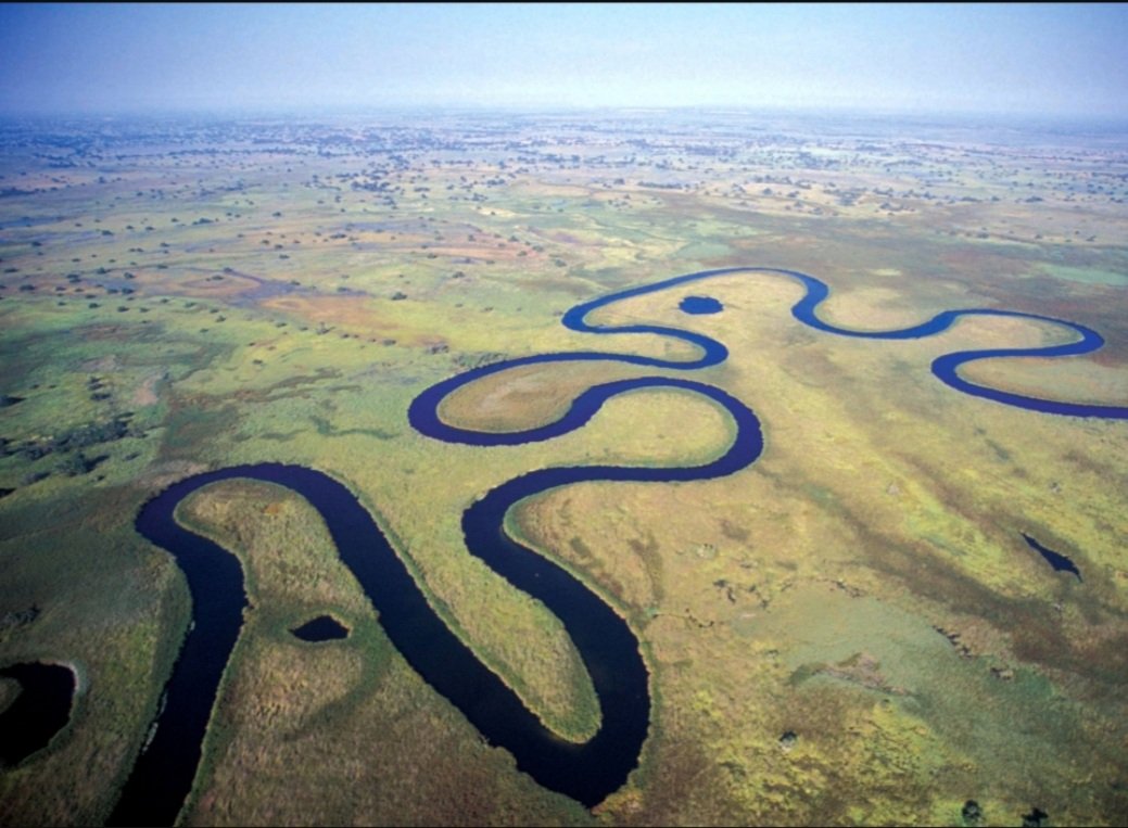 fazeelamubarak's tweet photo. If drill of oil continues in the Okavango delta, it send out the message that all our wilderness is up for destruction.
We say NO to oil exploration in the Okavango. We want #ReconOut of Africa.
@JustinTrudeau @fff_whk @SaveOkavango @LicypriyaK https://t.co/k6non29Ua2