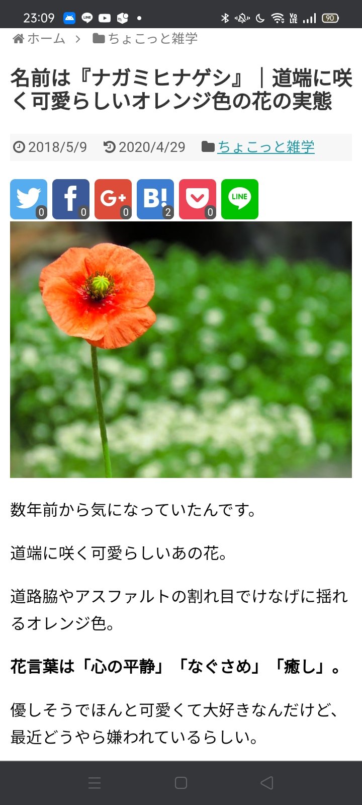 ふっふー 道端でまあまあ見かけるかわいい花の名前 を調べてみたらナガミヒナゲシというらしい 外来種で毒持ってるし繁殖力やばいらしいが花言葉は良い意味なんだなぁ T Co 3qubbkzlxi Twitter