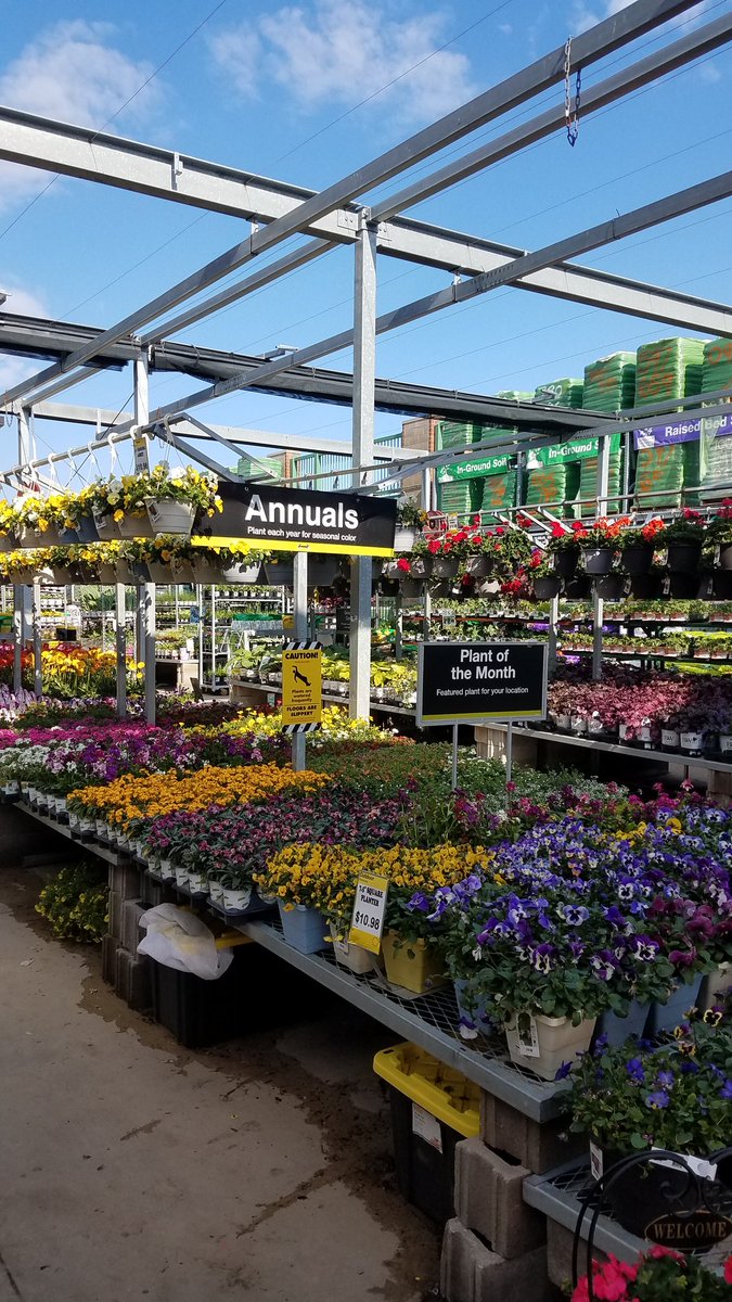 Garden is open at 2809, sun is out and plants are waiting!