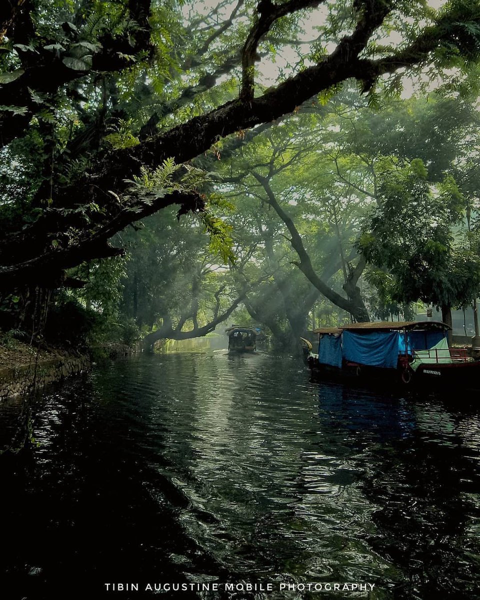 Most Canals will be narrow enough to have thick tree cover over it. Hence, even during summers, the travel will be very cool and healthy experience.