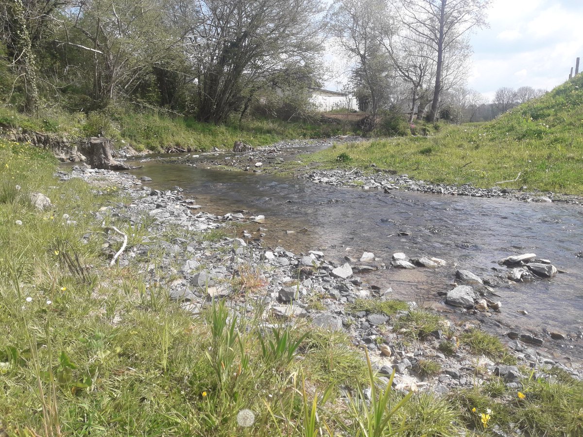 smbdives's tweet photo. 8 mois après travaux, la #dorette, affluent de la #dives dans le @AugePays sur @NCPA_Normandie, reprend des couleurs et sécoule paisiblement dans son nouveau lit....#continuiteecologique @Seine_normandie https://t.co/uMkwvJKwqv