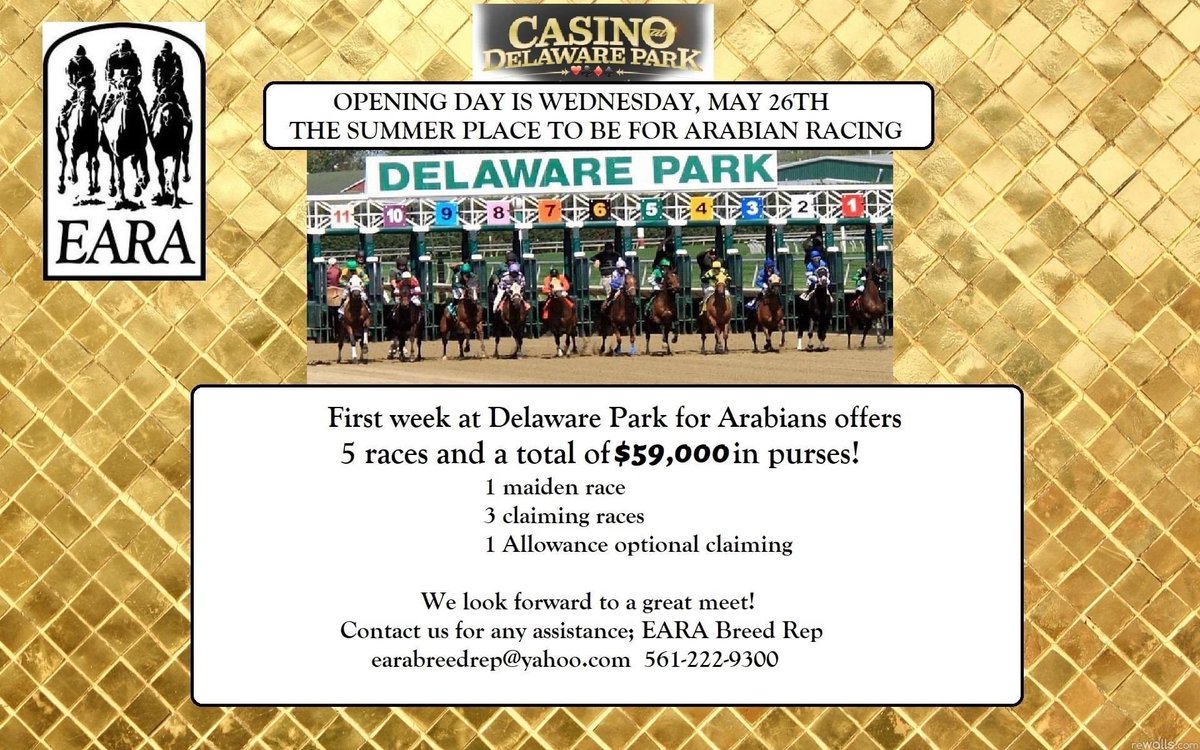 Let’s go racing!
We like to race, we like to win and we like purse money!! A trifecta <a href="/DelParkRacing/">Delaware Park</a> this summer. 🦄🏆💰
