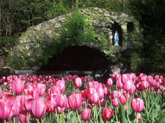 Tomorrow is the spring clean-up and planting event with the Naturally Native Nursery! Join us from 1:30-4:30pm to learn how to maintain native plant gardens and preserve campus' natural beauty. Meet at the grotto at 1:30pm and register here: docs.google.com/forms/d/e/1FAI… <a href="/SustainableND/">ND Sustainability</a>