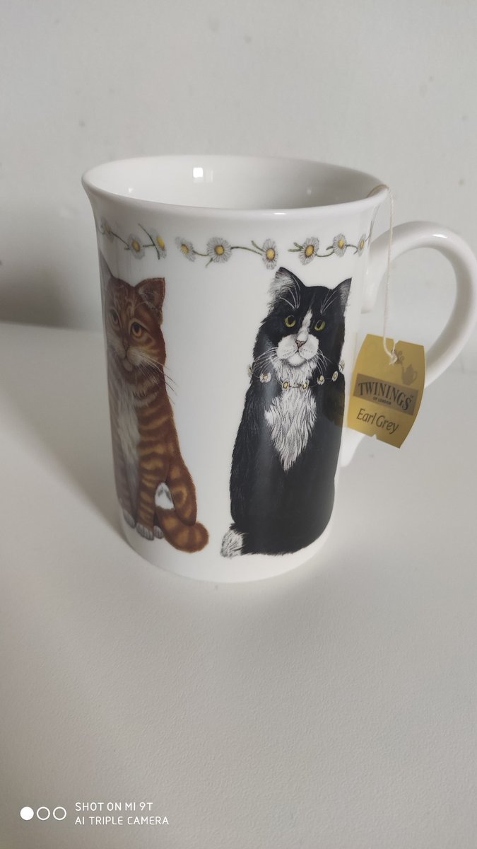 SIMO2's tweet photo. Tra poco è ora del tè? Oggi piove ininterrottamente e fa freddino. Mi consolo con un tè caldo e con l'Education Forum di #VRARassociation che inizierà a breve. #TeaTime https://t.co/L9i9SnriFK