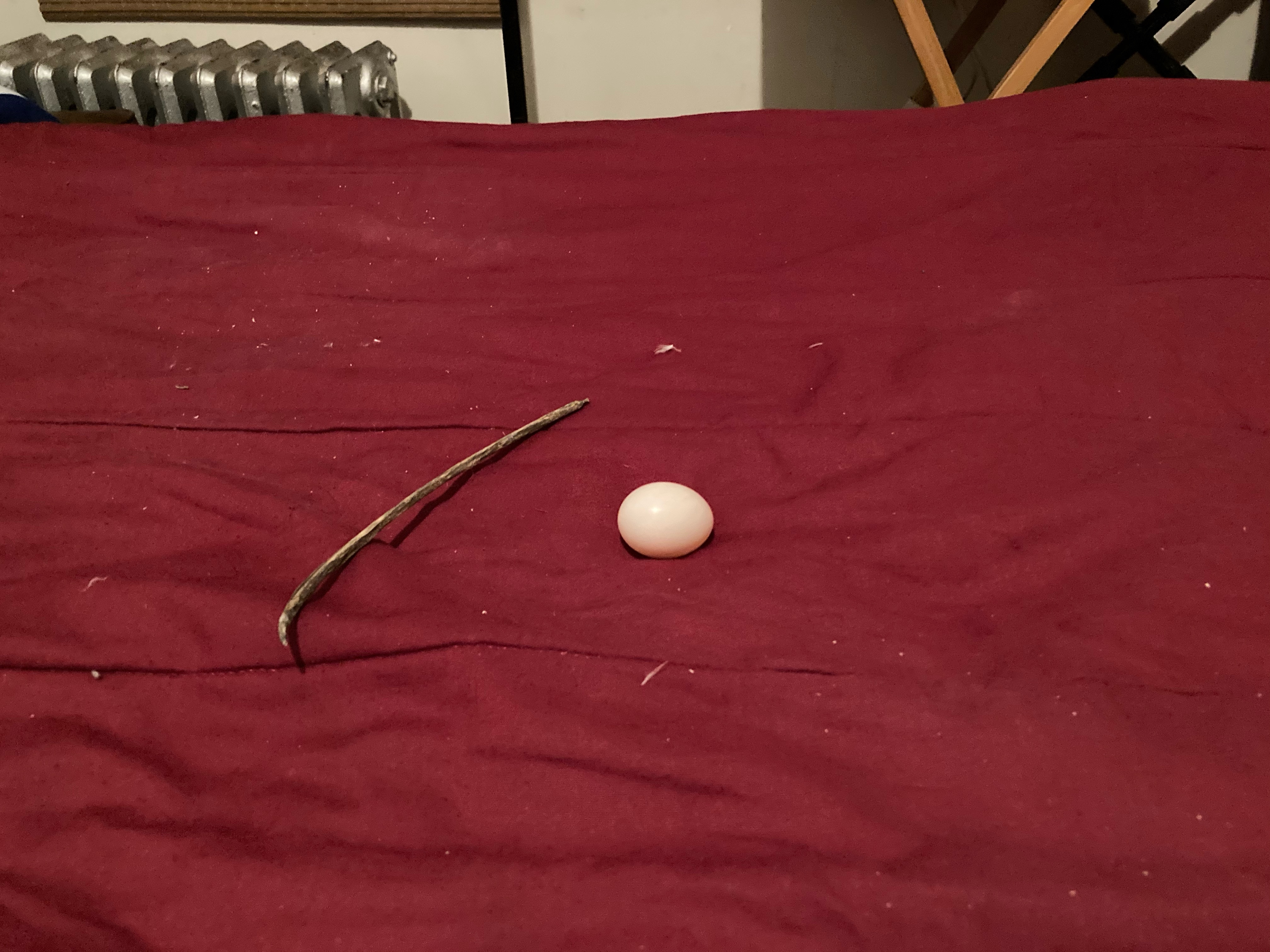 Pigeon nest deals