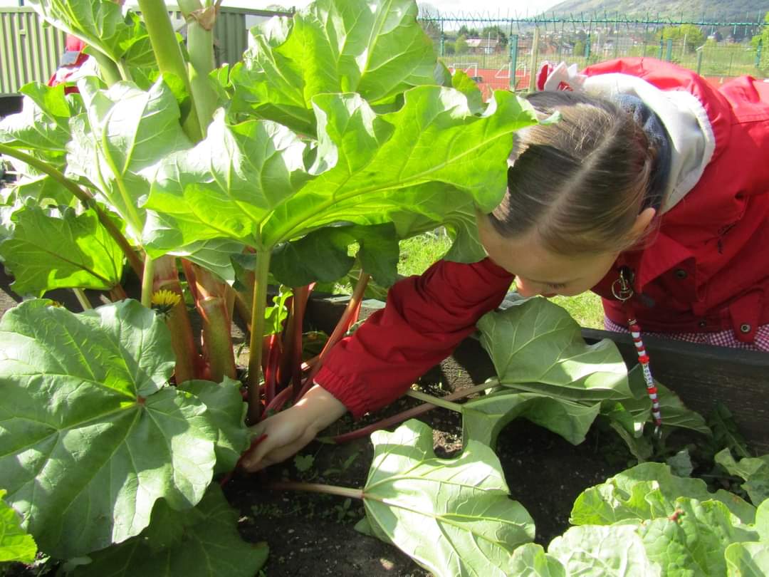 NIForestSchool's tweet image. Great morning at at Holy Cross Girls Primary School yesterday. We looked at #camouflage and played a camouflage #game. Then after break we used #hacksaws and tent pegs to make bubble wands. 
#nifsa #forestschool #learningwithoutwalls #learningoutdoors #tooluse #elder