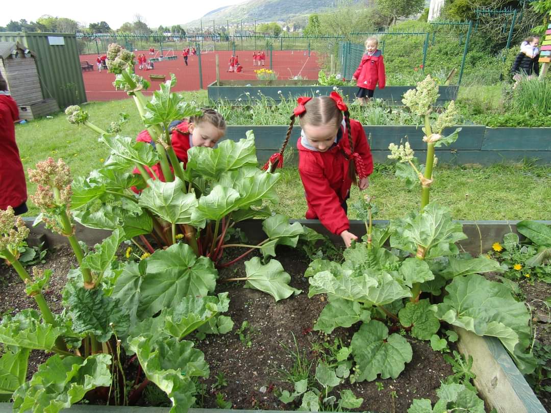 NIForestSchool's tweet image. Great morning at at Holy Cross Girls Primary School yesterday. We looked at #camouflage and played a camouflage #game. Then after break we used #hacksaws and tent pegs to make bubble wands. 
#nifsa #forestschool #learningwithoutwalls #learningoutdoors #tooluse #elder