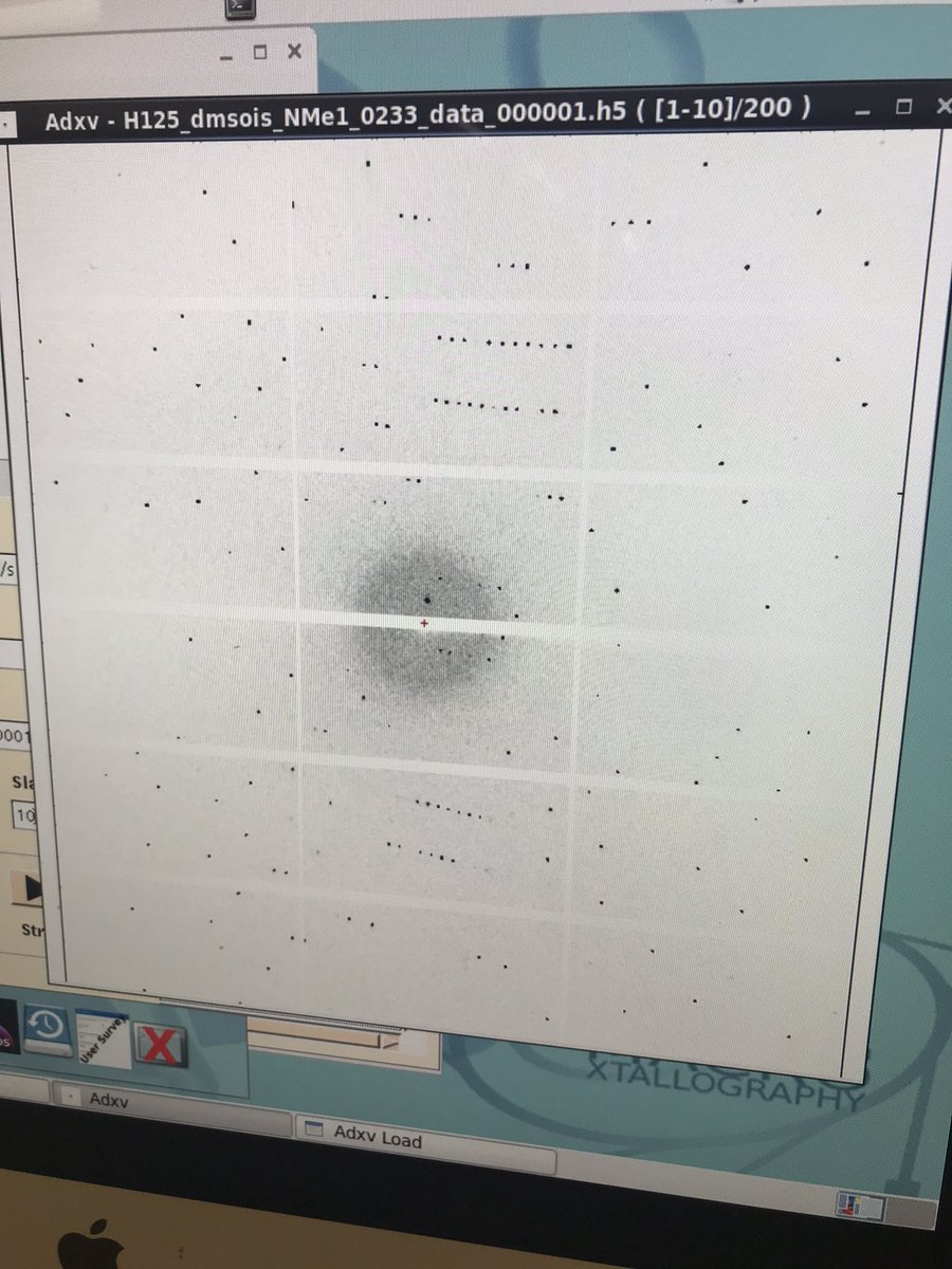 Chris Sumby (@chriszombiechem) on Twitter photo Some very nice diffraction on one of @flikl samples <a href="/AdelaideChem/">Chemistry@Adelaide</a> <a href="/ANSTO/">ANSTO</a> Great work MX team and thanks <a href="/stephanie_boer/">Stephanie Den Boer</a> Some very nice diffraction on one of @flikl samples <a href="/AdelaideChem/">Chemistry@Adelaide</a> <a href="/ANSTO/">ANSTO</a> Great work MX team and thanks <a href="/stephanie_boer/">Stephanie Den Boer</a>