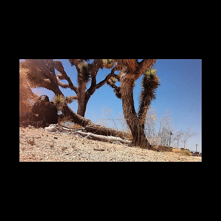 FallWithering's tweet photo. #JAY #KNAWLYDGE https://t.co/czuxBMHrQG