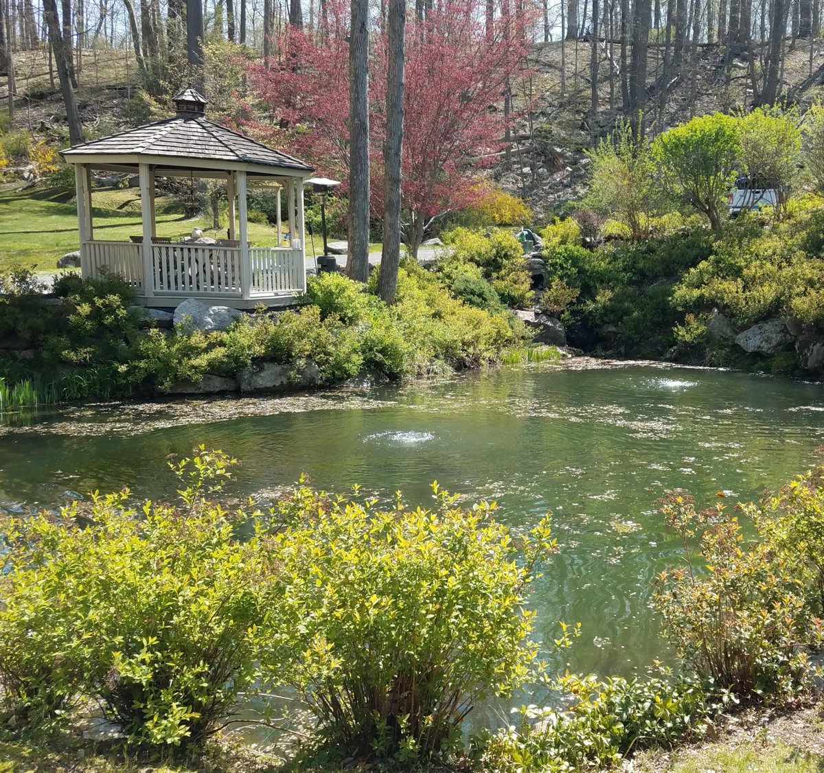 thepondandlake's tweet photo. Two AquaControl shallow pond diffused aeration systems in this lovely pond in Garrison, NY. 

#garrisonny #garrisonnewyork #aerationsystem #diffusedaeration #pondmanagement #nyponds #putnamcounty #putnamcountyny #putnamcountyrealestate #wateraeration #waterquality https://t.co/kJI7AXkSp6