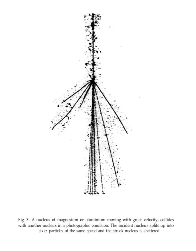 Powell mentions photographic emulsions no fewer than eight times in his Nobel lecture; seven of his eight figures are tracks from emulsion plates. He provides twelve citations, but they do not include Blau or Wambacher. He does not even mention them in passing.