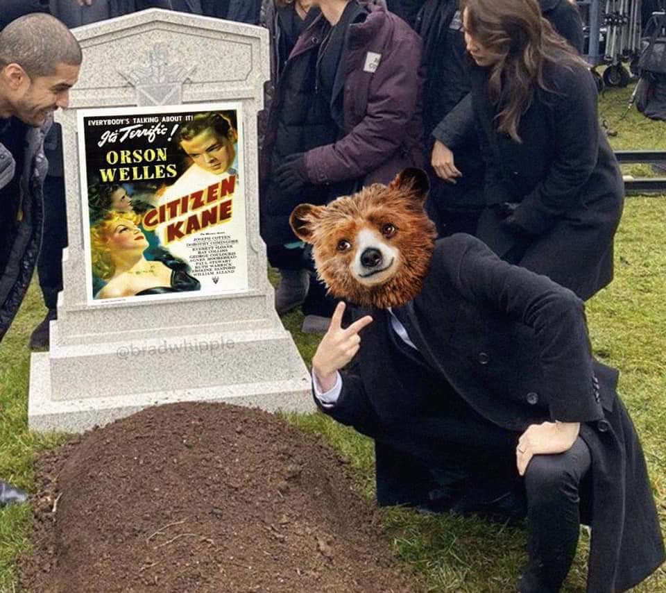 ProjectedFilm's tweet image. Whoever made this meme, I love you