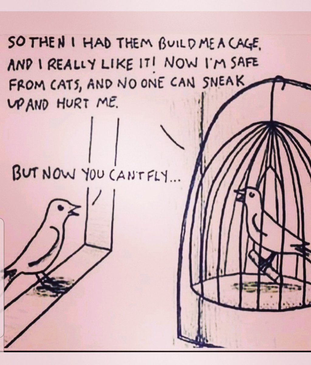 kasyHeart's tweet image. God created us to be Free not locked up. 
Its defined as &quot;the power or right to act, speak, or think as one wants without hindrance or restraint.
&quot;we do have some freedom of choice&quot;

👉🏼Are you the bird inside the cage or outside?
#author #freedomofspeech
#SparksofCourageonAmazon