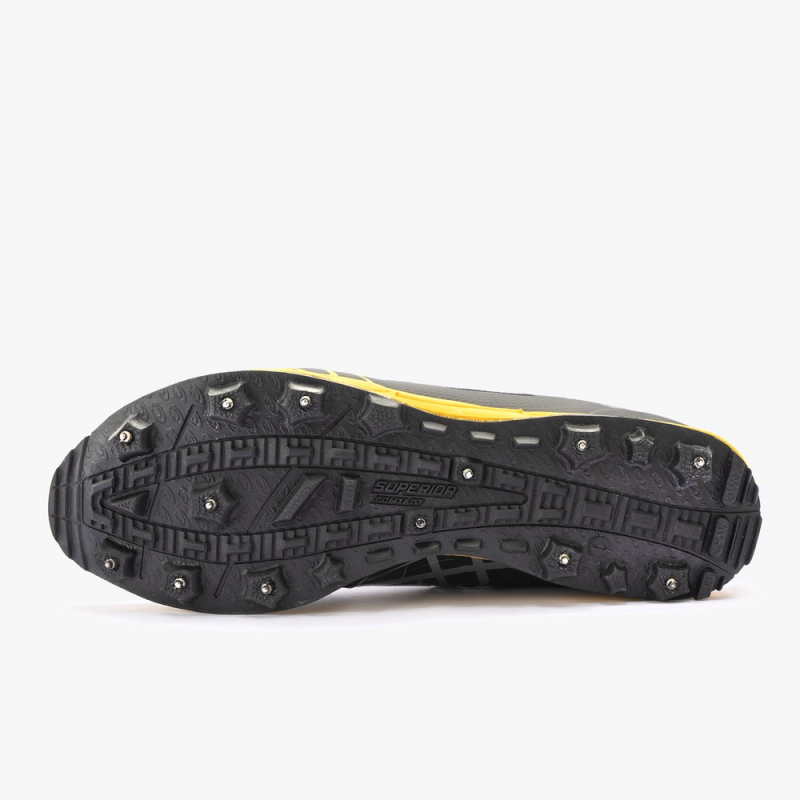 Tiendadeorientacion tweet media