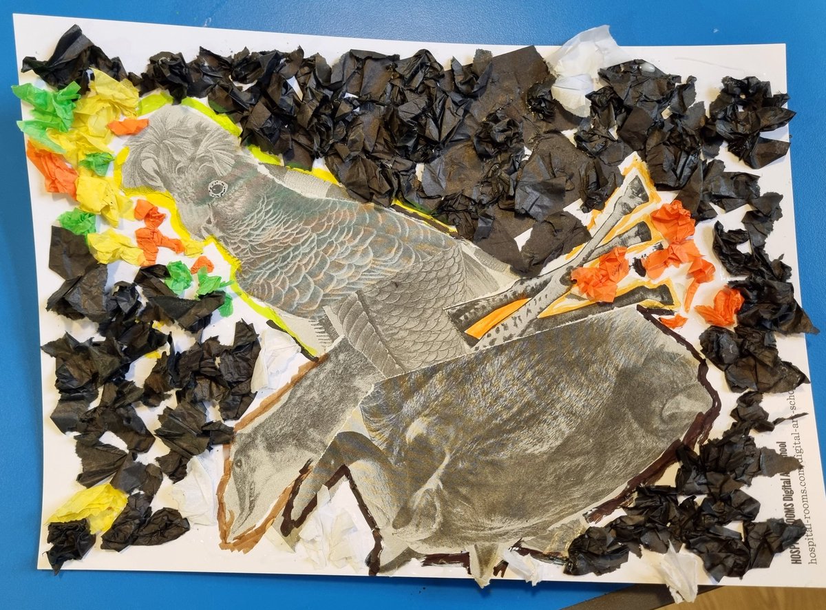 SophiaOT_'s tweet photo. We had a great afternoon on Virginia Woolf Ward at The #LadywellUnit creating our hybrid animal collages for #HospitalRoomsDigitalArtSchool with Michelle Williams Gamaker! We opted to add some extra colour ππ¨ #OccupationalTherapy #Art #HospitalRooms #DigitalArtSchool #Lewisham https://t.co/pbmp2w9k9J