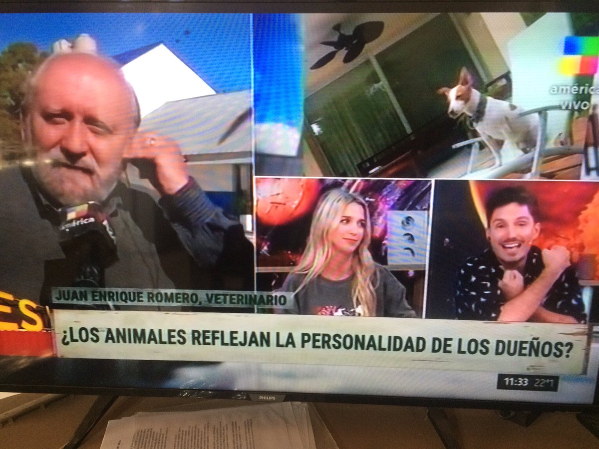 felisycan's tweet photo. @drromerook Banalizando una temática tan dolorosa, hoy deberíamos tomar concs de la falta de las politicas públicas para el control de la sobre población animal y el incumplimiento de la ley prov 13.879 de castraciones masivas🧡
#CastracionesMasivasYa 
#SalvarlosATodosEsPosible https://t.co/Rf6HK5ehgQ