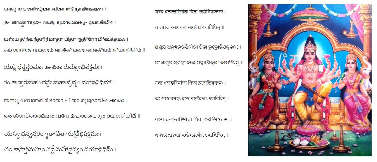 shloka: HariharaputraTo that shAstA the storehouse of compassion, whose Mother is none other than Dhanvantari & father is Rudra the Supreme Bhishak himself. (So shAstA is a Physician from both Hari & Hara sides)sAhitya: "rudro bhishak or "devo bhishak", both ref to Sri Rudram