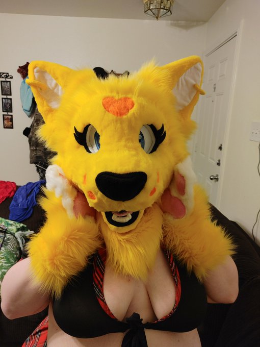 Oh my what could I be seeing on the way??? Oh maybe its a new toy? Or maybe a outfit? Well whatever it<a href="/tag/furries"class="tags"><span>#furries</span></a><a href="/tag/furry"class="tags"><span>#furry</span></a><a href="/tag/fursuit"class="tags"><span>#fursuit</span></a><a href="/tag/murrsuiter"class="tags"><span>#murrsuiter</span></a><a href="/tag/murrsui"class="tags"><span>#murrsui</span></a>