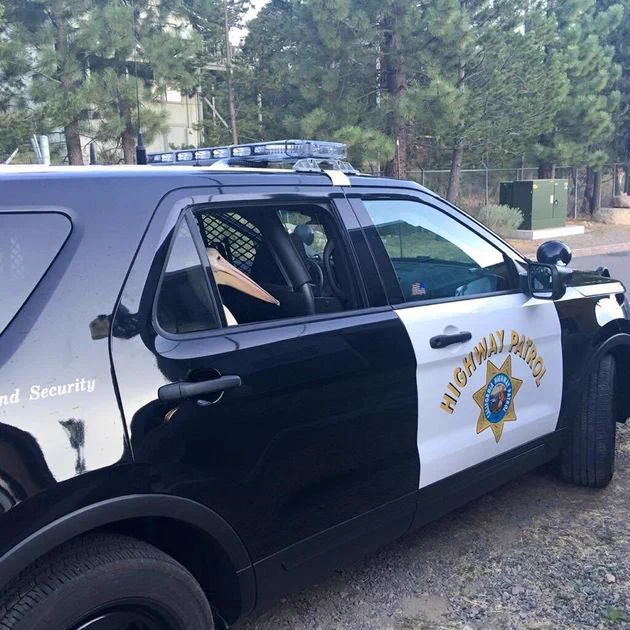 反省しているのｗカピバラに暴行を加え逮捕された「ペリカン」逮捕劇
