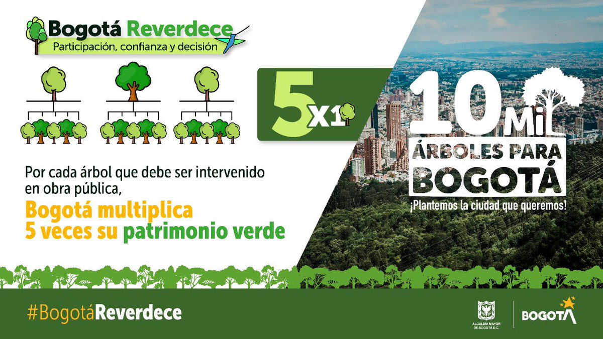 ClaudiaLopez's tweet image. ¡Multiplicaremos nuestro patrimonio verde! 🌲

En el Día Nacional del Árbol ratificamos nuestro compromiso con #BogotáReverdece. Por eso, @Bogota se compromete a que por cada árbol que deba ser talado para obras de desarrollo urbanístico, se plantarán 5 más en la ciudad.