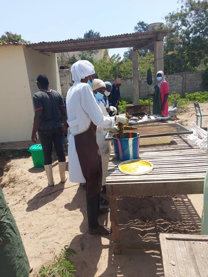 cnftpa Sénégal tweet media