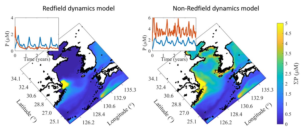 In his work, Jang-Guen Cho, Ph.D. candidate, expands the traditional Nutrient-Phytoplankton-Zooplankton-Detritus (NPZD) model. Learn why during our Research Symposium on May 5. Join us virtually. bit.ly/3x879mB @UNH_GradSchool @UNH_CEPS