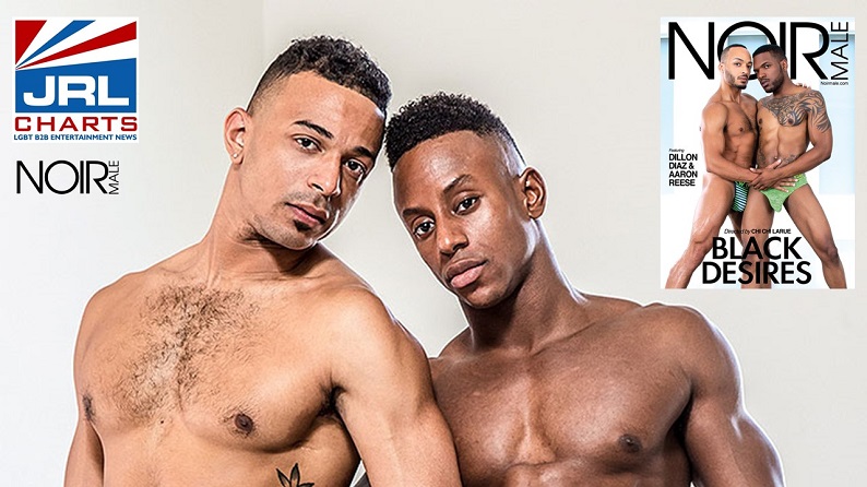 The black gay channel
