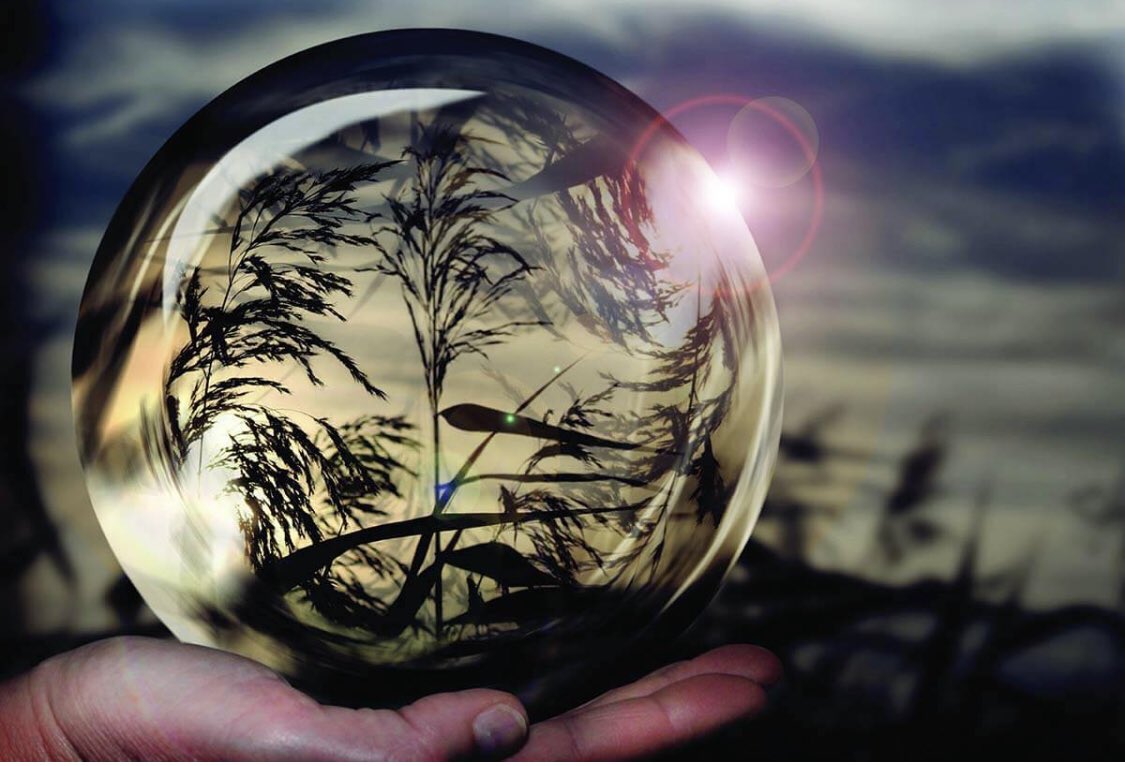 EASA EnviroAnt Network (@enviro_ant) on Twitter photo The Obvious Mirror: How Biocultural Diversity Is Reflected in the Natural World
terralingua.org/langscape_arti…  #biocultural  #diversity  #sustainability  #biodiversity The Obvious Mirror: How Biocultural Diversity Is Reflected in the Natural World
terralingua.org/langscape_arti…  #biocultural  #diversity  #sustainability  #biodiversity