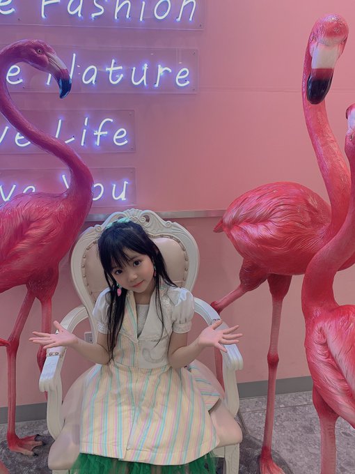ゆとりのTwitter画像1