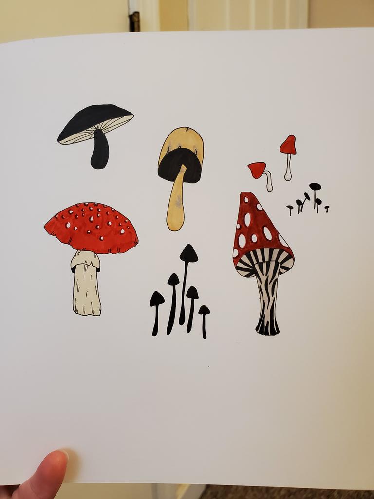 So bored I drew these mushrooms 