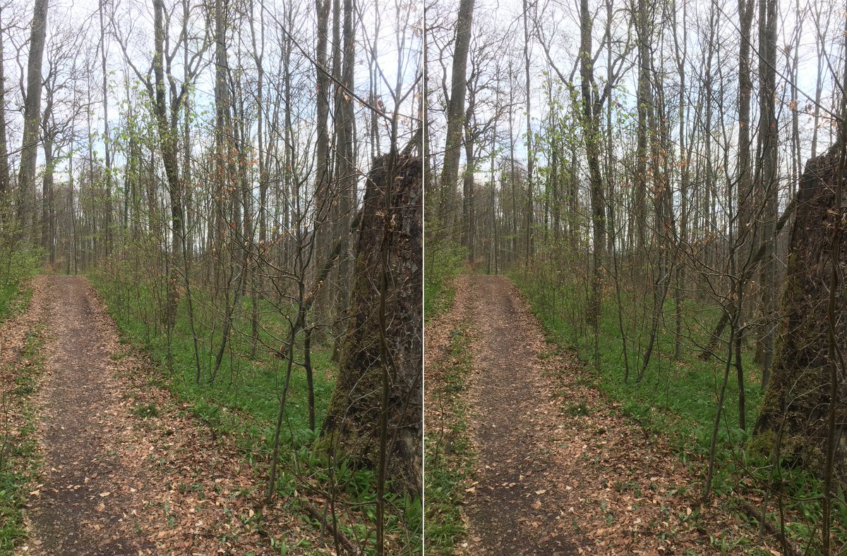  #waldszenen 20210429Browse this thread to see the same forest spot change from day to day ... Double mounts are  #3D. Read on to test this experience:  https://twitter.com/mweiss_tue/status/1373970623739879425?s=20