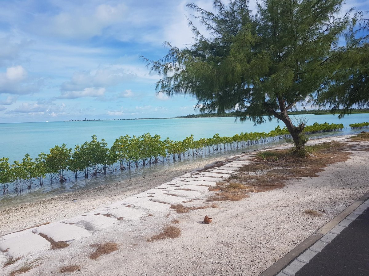 The current crisis has caused disruption in the course of #SIDS🏝️ development, but these nations are rethinking #development strategies to unlock a #sustainable pathway to a #green recovery.
Read our latest bulletin to learn more👉bit.ly/SIDSBulletin37
#UNDP4SIDS